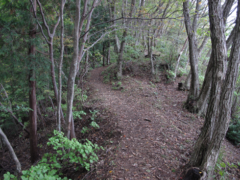 20181016hike (167)
